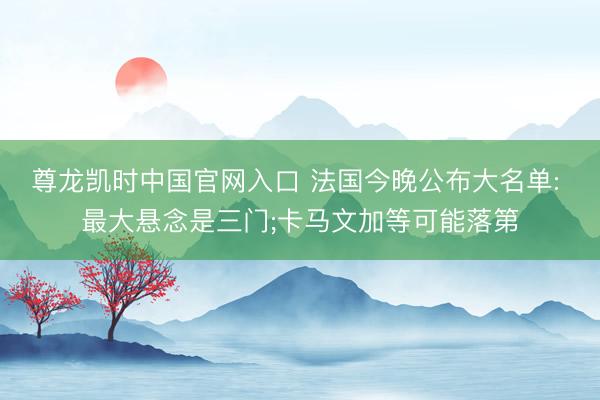 尊龙凯时中国官网入口 法国今晚公布大名单: 最大悬念是三门;卡马文加等可能落第