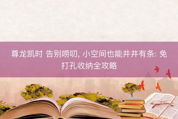 尊龙凯时 告别唠叨， 小空间也能井井有条: 免打孔收纳全攻略