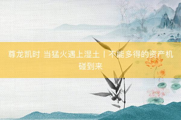 尊龙凯时 当猛火遇上湿土丨不能多得的资产机碰到来