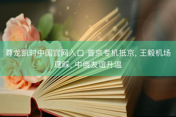 尊龙凯时中国官网入口 普京专机抵京, 王毅机场理睬, 中俄友谊升温