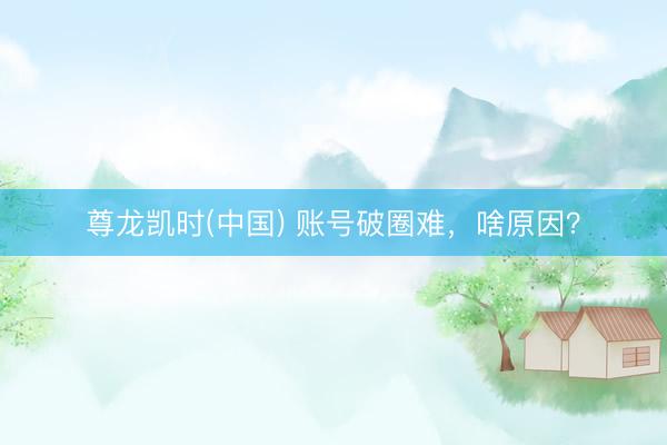尊龙凯时(中国) 账号破圈难，啥原因？