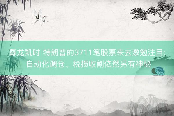 尊龙凯时 特朗普的3711笔股票来去激勉注目: 自动化调仓、税损收割依然另有神秘