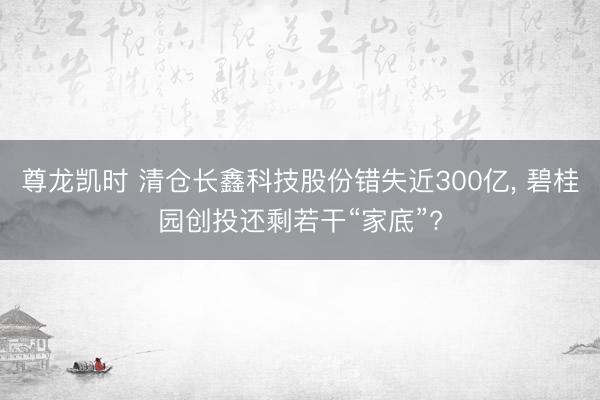 尊龙凯时 清仓长鑫科技股份错失近300亿， 碧桂园创投还剩若干“家底”?