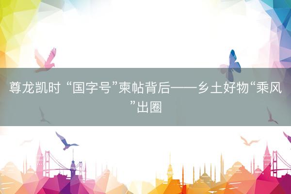 尊龙凯时 “国字号”柬帖背后——乡土好物“乘风”出圈