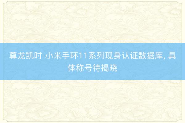 尊龙凯时 小米手环11系列现身认证数据库， 具体称号待揭晓