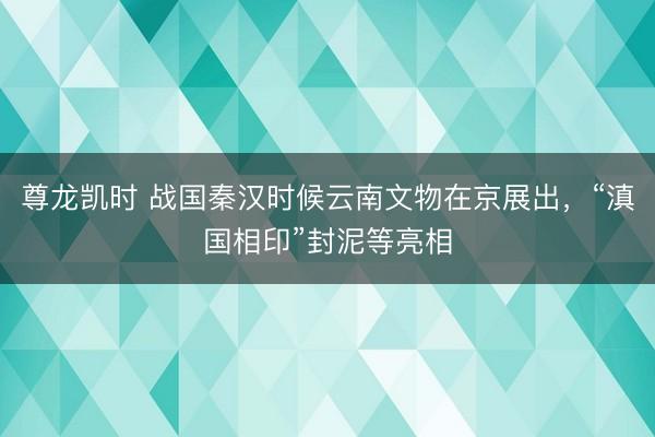 尊龙凯时 战国秦汉时候云南文物在京展出，“滇国相印”封泥等亮相