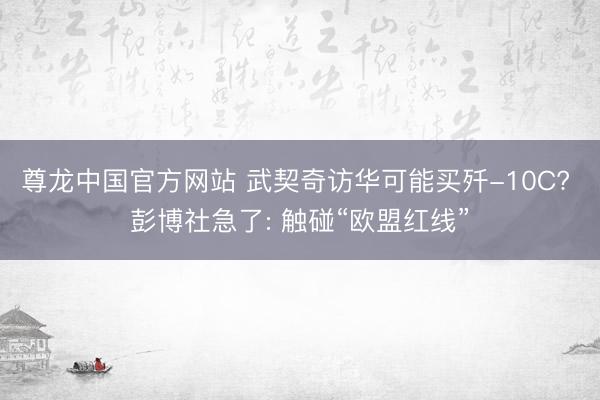 尊龙中国官方网站 武契奇访华可能买歼-10C? 彭博社急了: 触碰“欧盟红线”