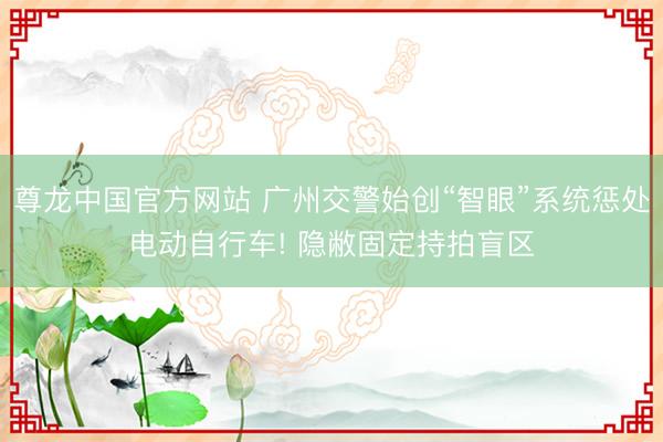 尊龙中国官方网站 广州交警始创“智眼”系统惩处电动自行车! 隐敝固定持拍盲区