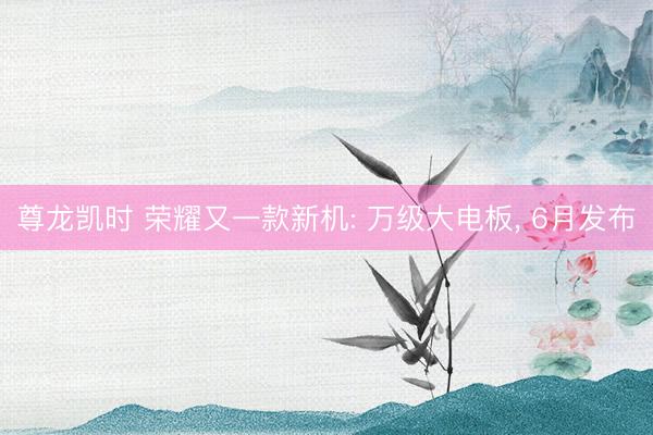 尊龙凯时 荣耀又一款新机: 万级大电板, 6月发布
