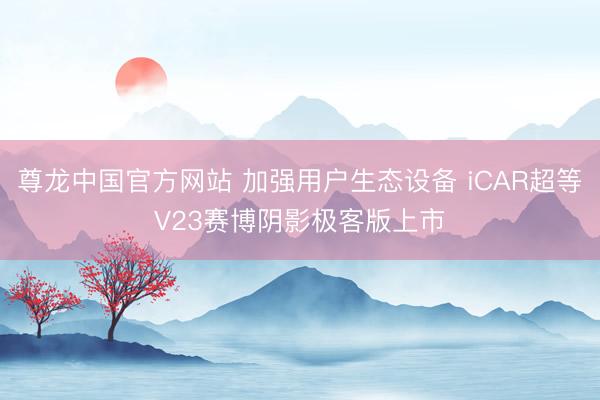 尊龙中国官方网站 加强用户生态设备 iCAR超等V23赛博阴影极客版上市