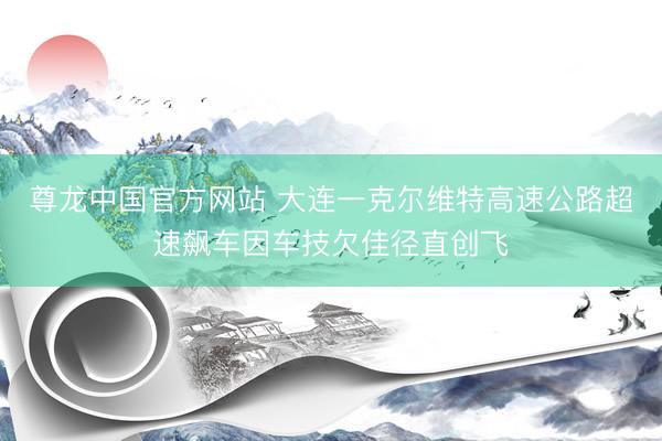 尊龙中国官方网站 大连一克尔维特高速公路超速飙车因车技欠佳径直创飞