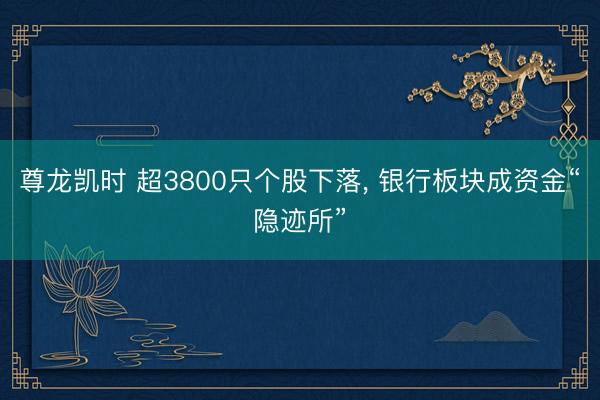 尊龙凯时 超3800只个股下落， 银行板块成资金“隐迹所”