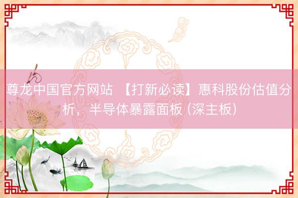 尊龙中国官方网站 【打新必读】惠科股份估值分析，半导体暴露面板 (深主板）