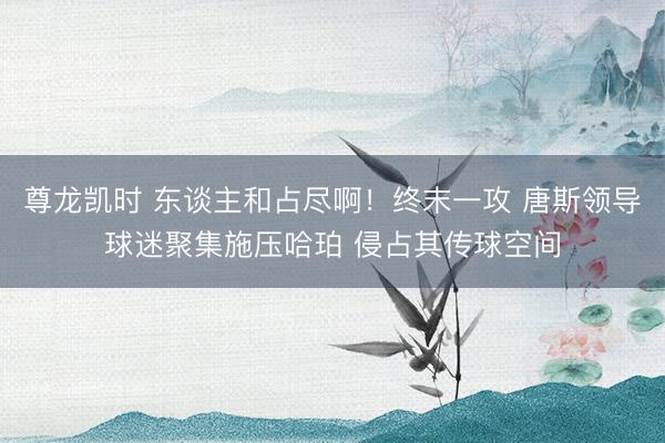尊龙凯时 东谈主和占尽啊！终末一攻 唐斯领导球迷聚集施压哈珀 侵占其传球空间