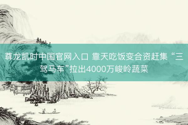尊龙凯时中国官网入口 靠天吃饭变合资赶集 “三驾马车”拉出4000万峻岭蔬菜