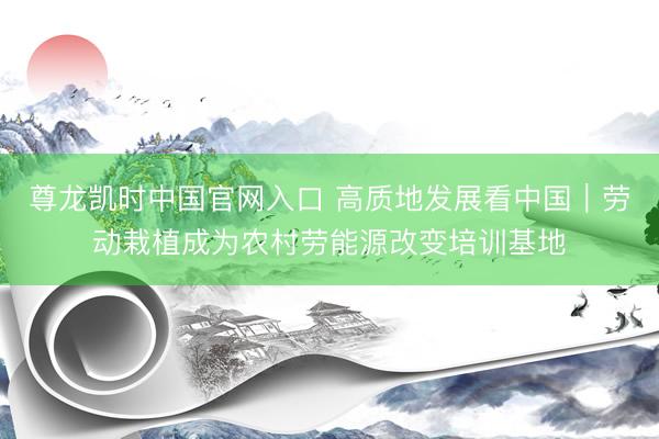 尊龙凯时中国官网入口 高质地发展看中国｜劳动栽植成为农村劳能源改变培训基地