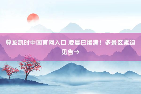尊龙凯时中国官网入口 凌晨已爆满！多景区紧迫见告→