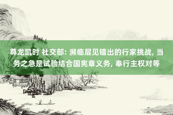 尊龙凯时 社交部: 濒临层见错出的行家挑战， 当务之急是试验结合国宪章义务， 奉行主权对等