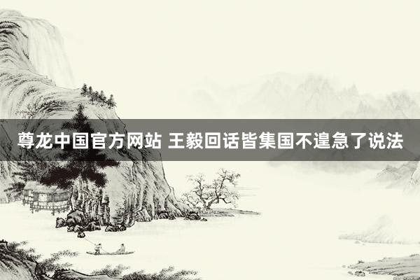 尊龙中国官方网站 王毅回话皆集国不遑急了说法