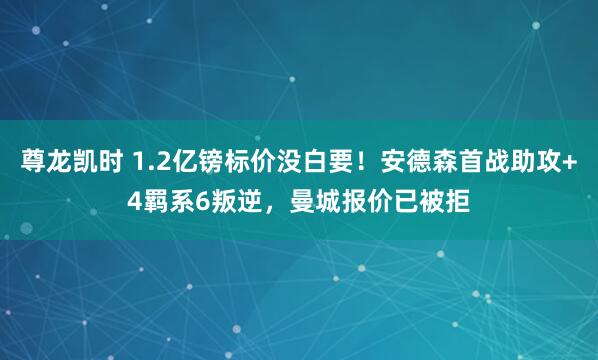 尊龙凯时 1.2亿镑标价没白要!安德森首战助攻+4羁系6叛逆,曼城报价已被拒